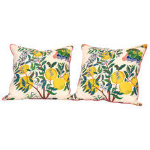 Load image into Gallery viewer, Citrus Garden Pillows
